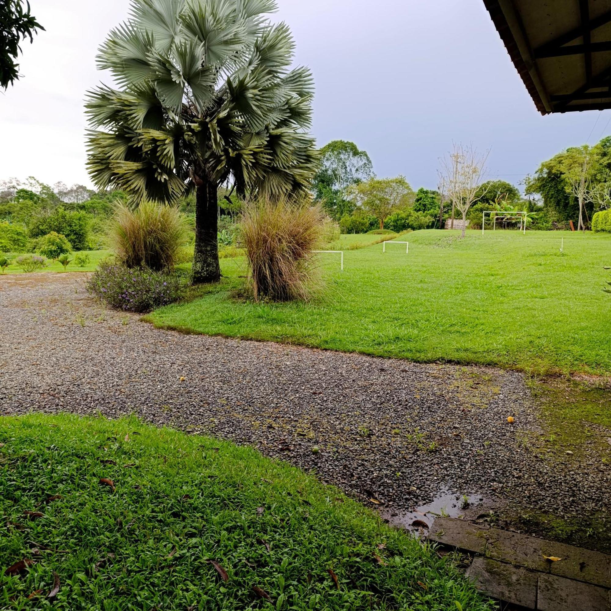 Hotel Campestre Los Mangos キンバヤ エクステリア 写真