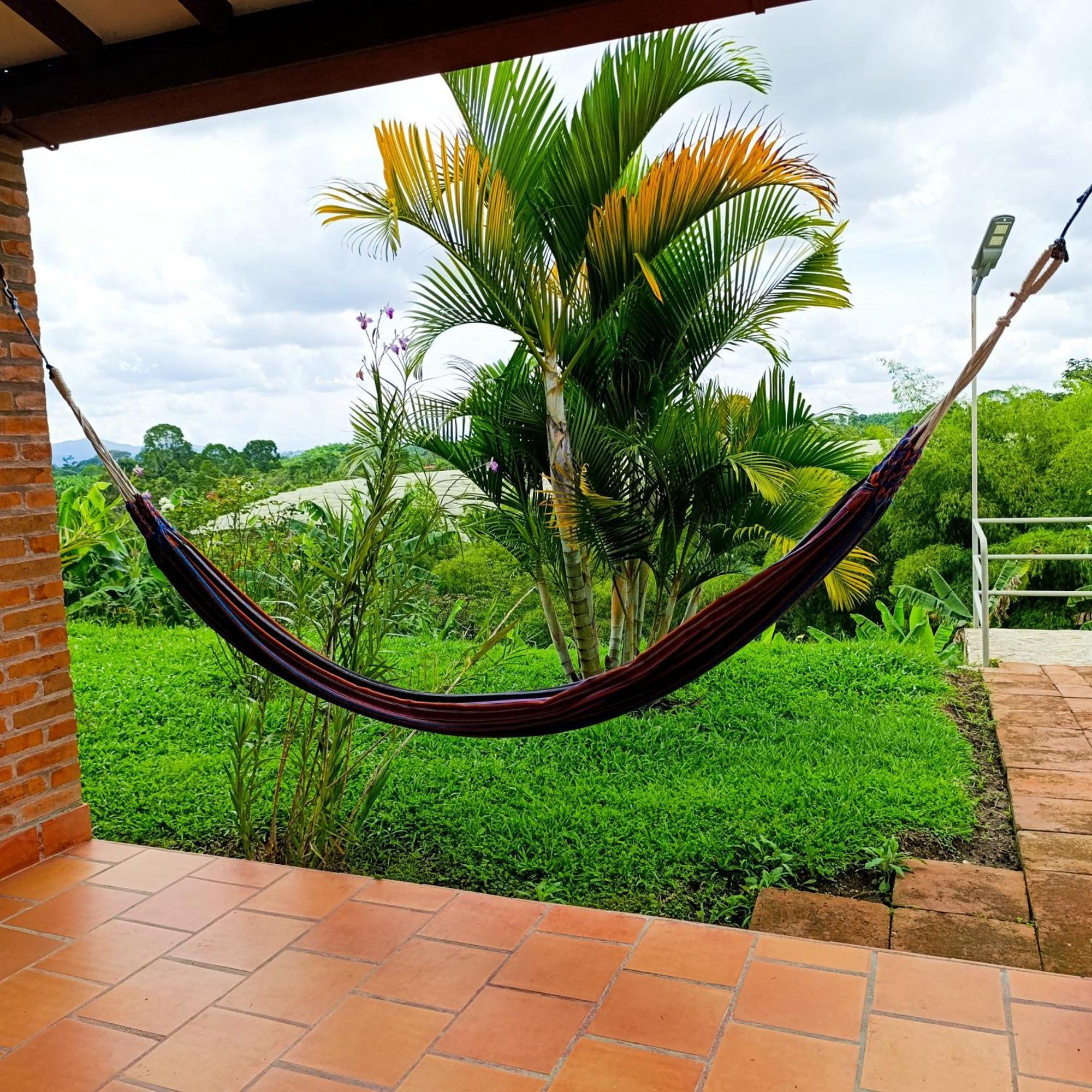 Hotel Campestre Los Mangos キンバヤ エクステリア 写真