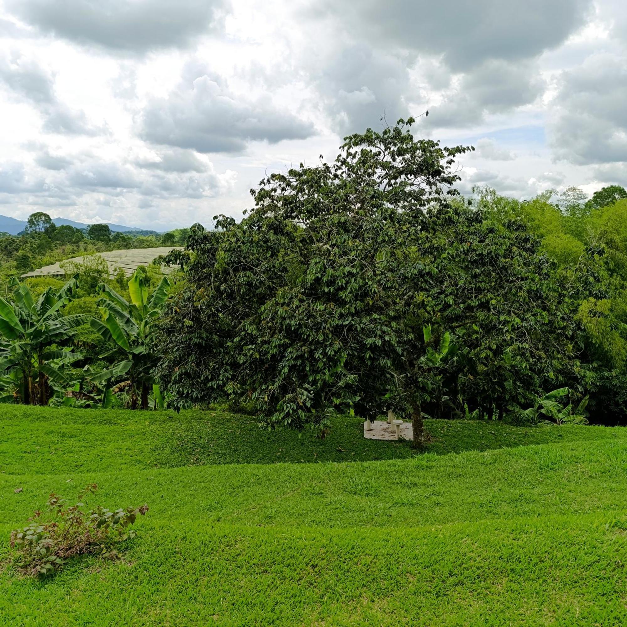 Hotel Campestre Los Mangos キンバヤ エクステリア 写真