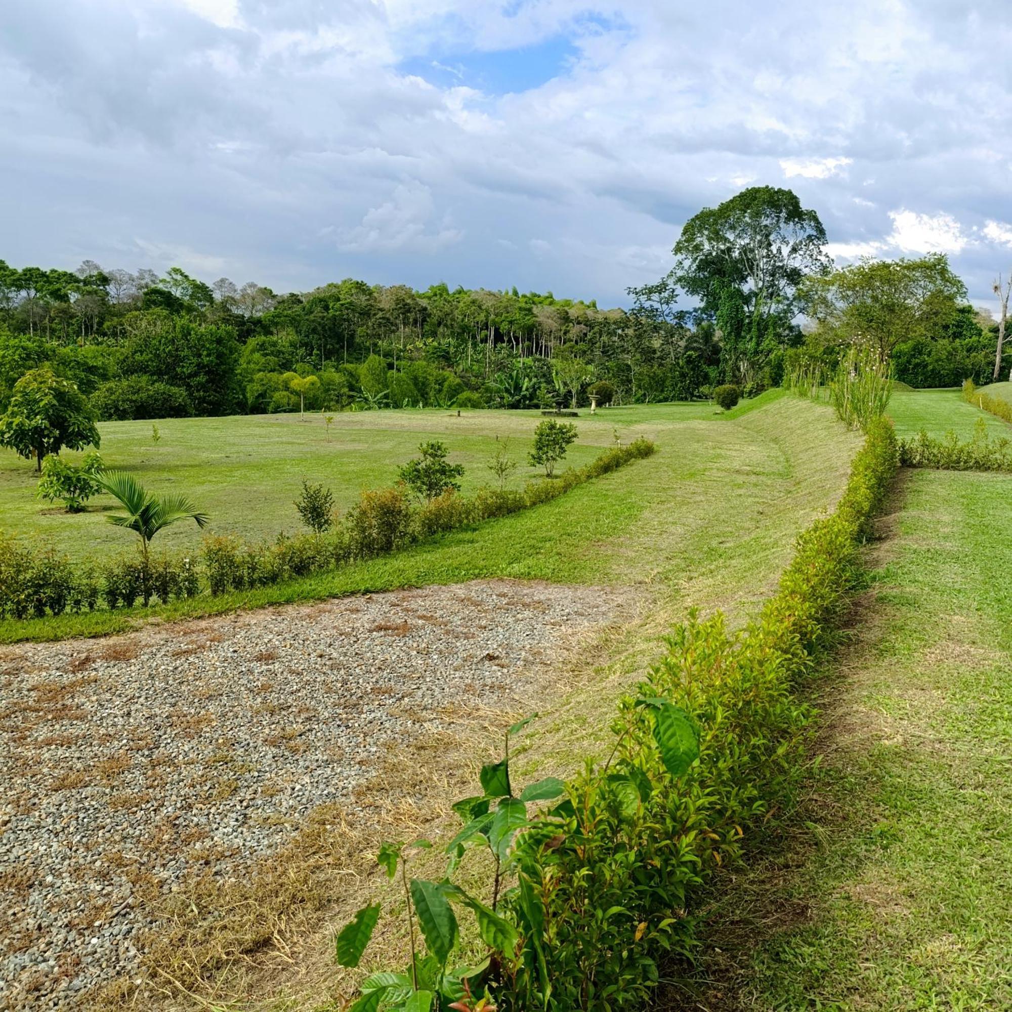Hotel Campestre Los Mangos キンバヤ エクステリア 写真